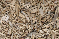 biomass boilers Whaley Thorns